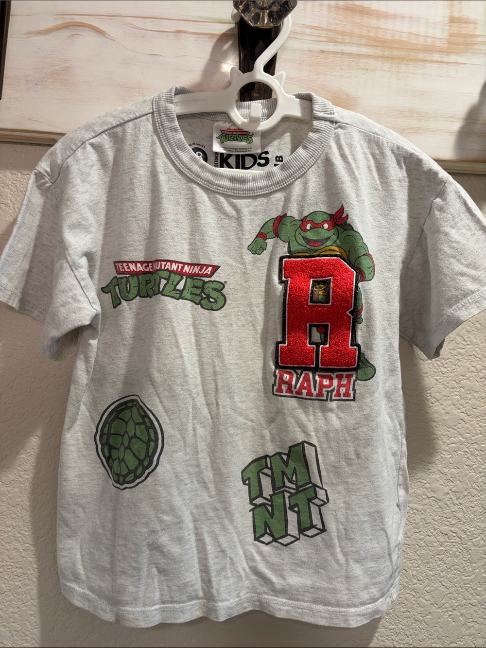 Teenage Mutant Ninja Turtles Raph Graphic Tee - Light Gray
